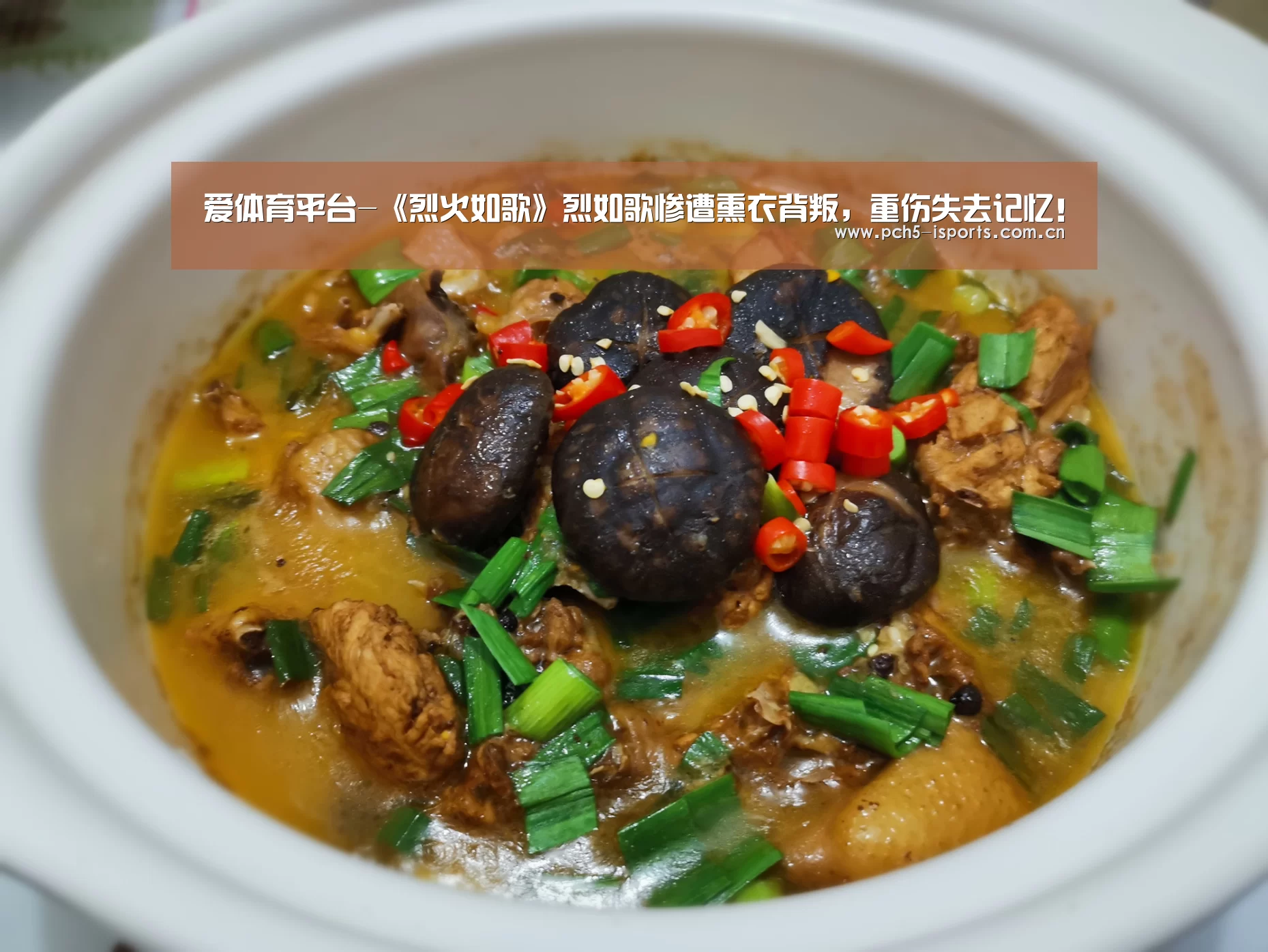 爱体育平台-《烈火如歌》烈如歌惨遭熏衣背叛,重伤失去记忆!(图2) 爱体育平台