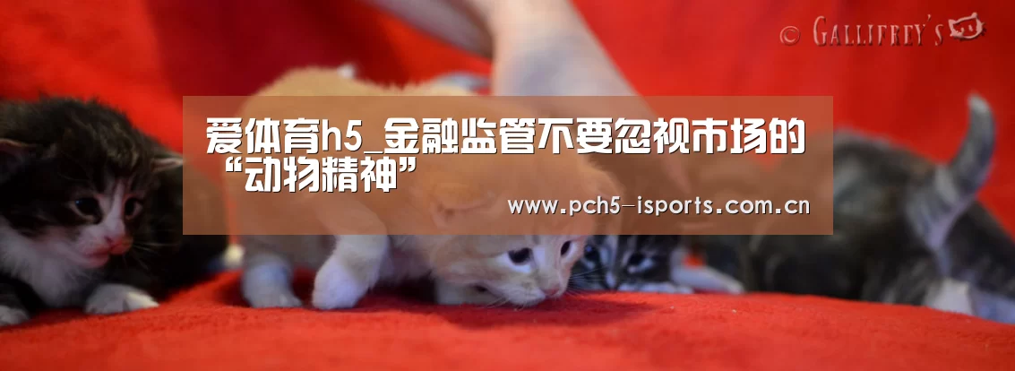 爱体育APP